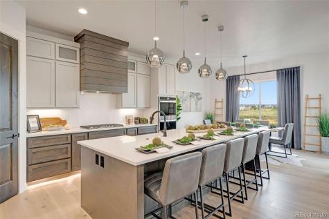 3662 N Buchanan Court Aurora CO 80019