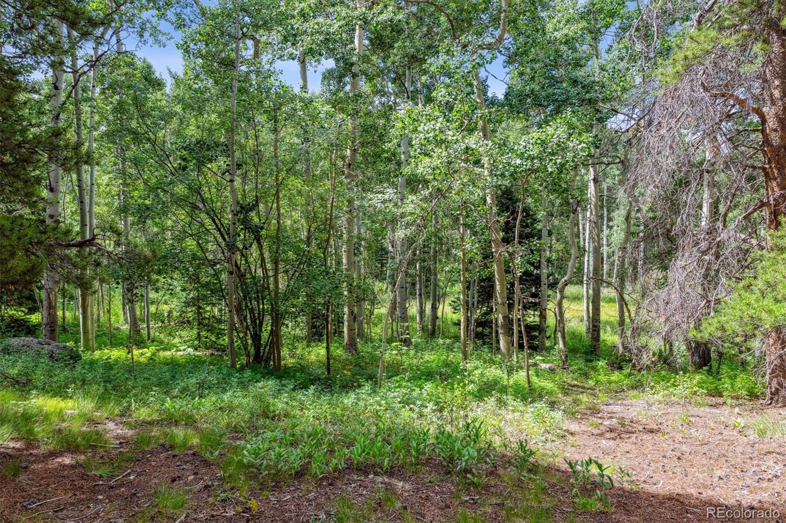 306 Olde Carter Lake Road Golden CO 80403