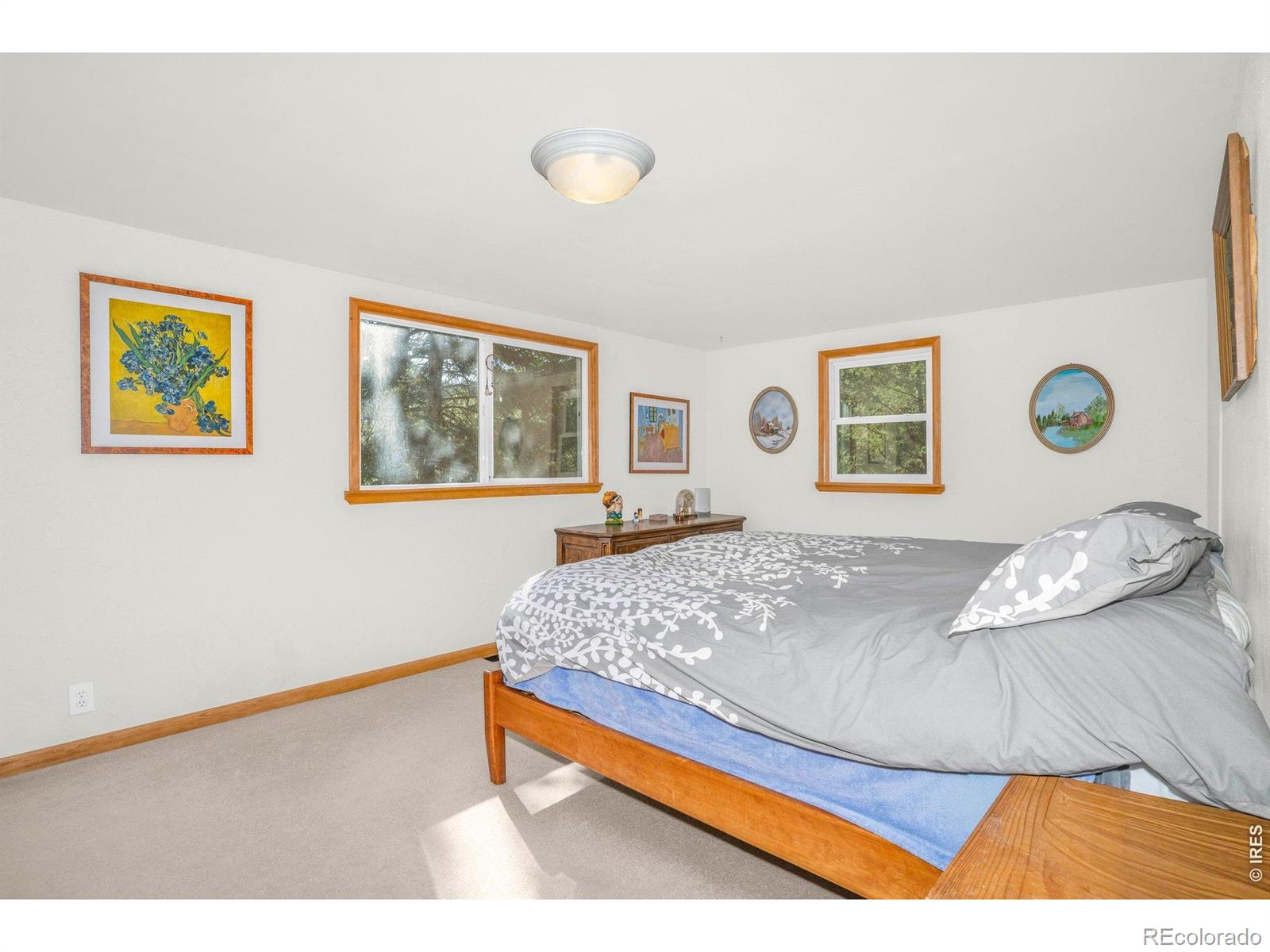 527 Hemlock Drive Lyons CO 80540