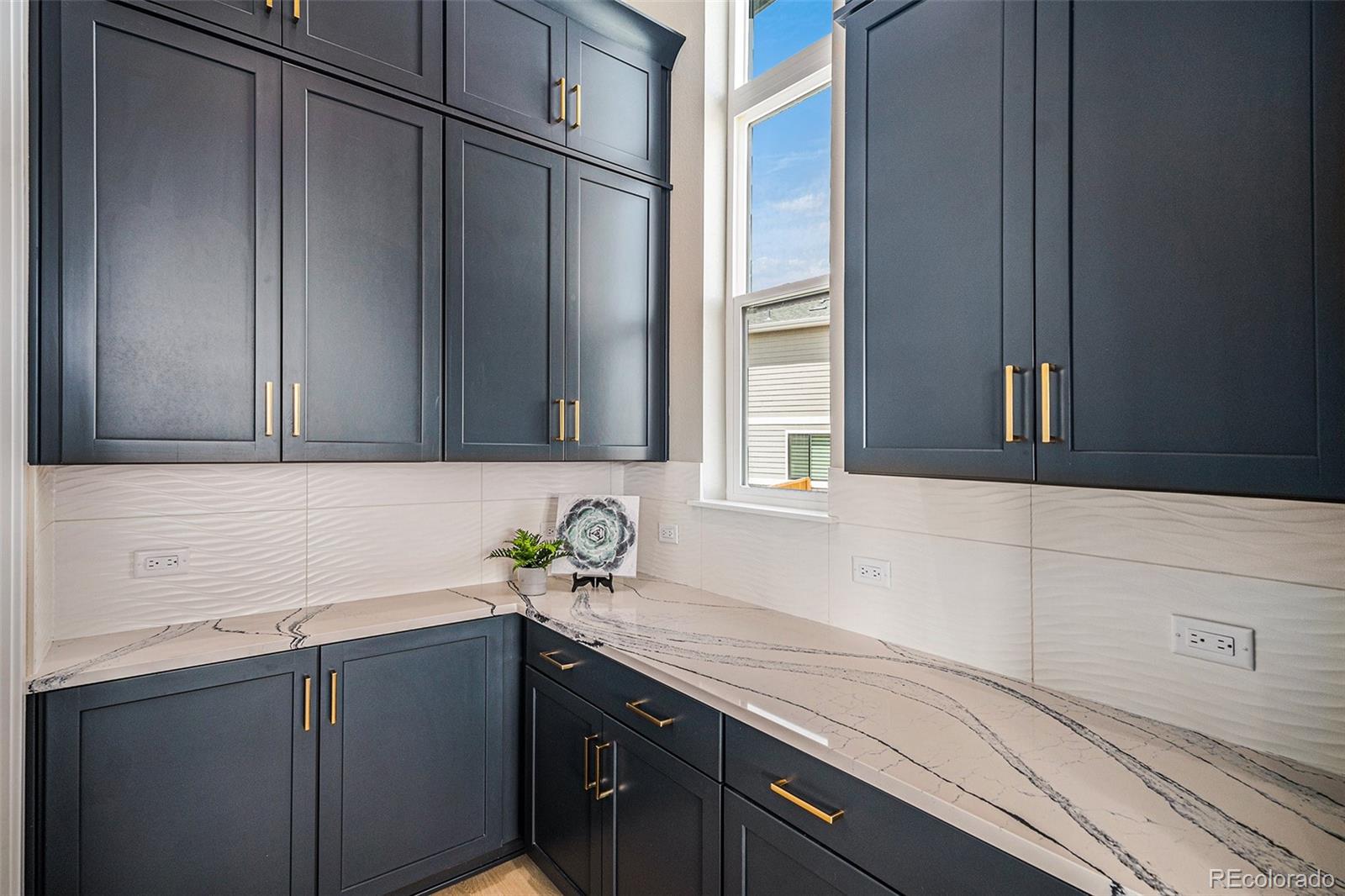 14341 Beebalm Loop Parker CO 80134