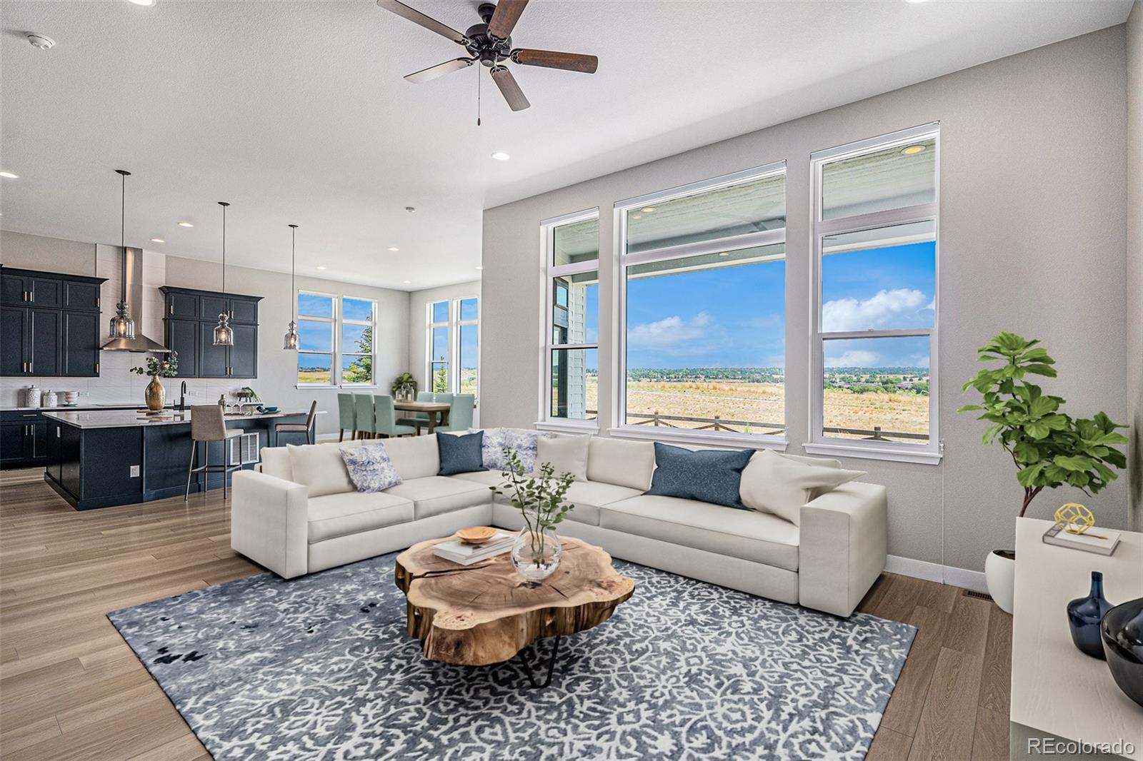 14341 Beebalm Loop Parker CO 80134