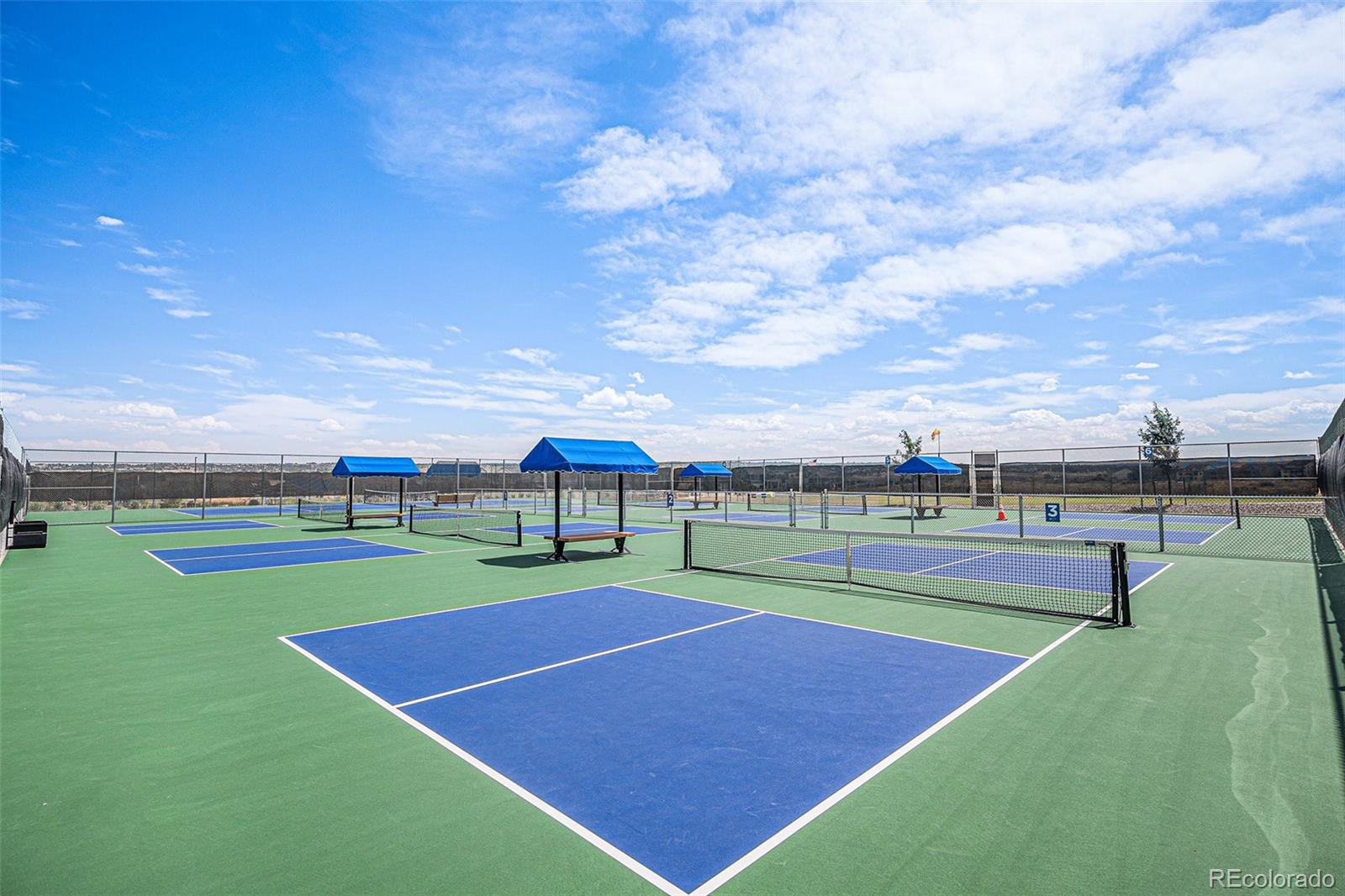 14341 Beebalm Loop Parker CO 80134