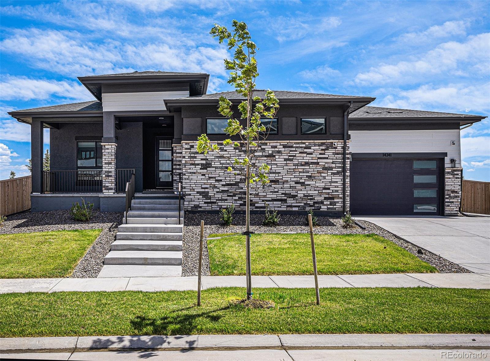 14341 Beebalm Loop Parker CO 80134