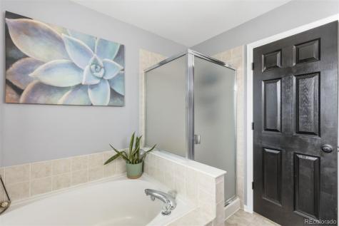 7259 Mineral Wells Drive Colorado Springs CO 80923