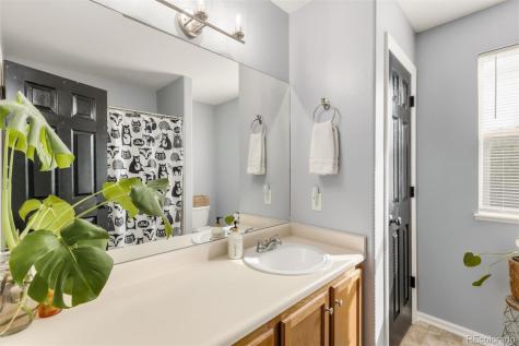 7259 Mineral Wells Drive Colorado Springs CO 80923