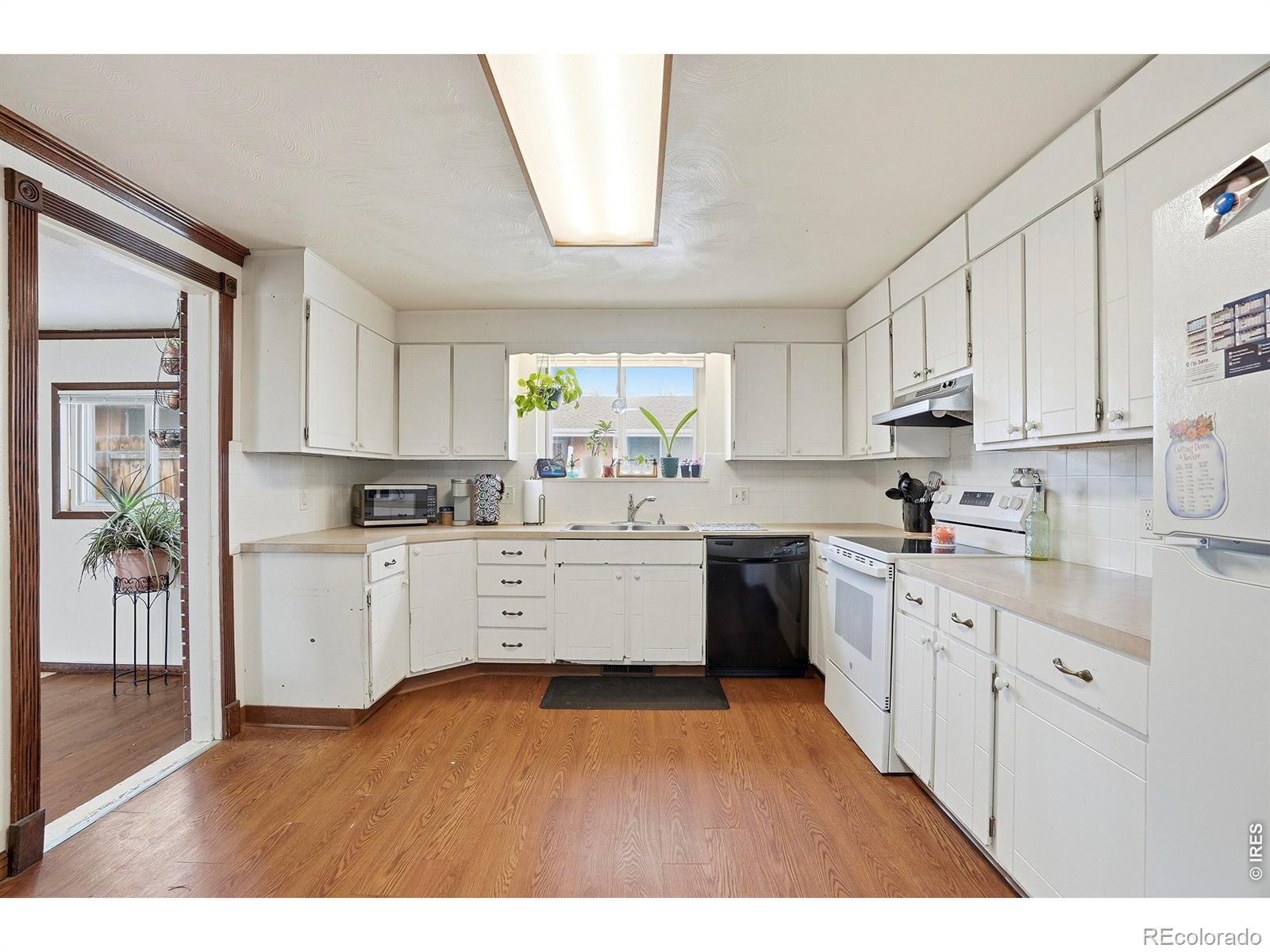 1119 Bross Street Longmont CO 80501