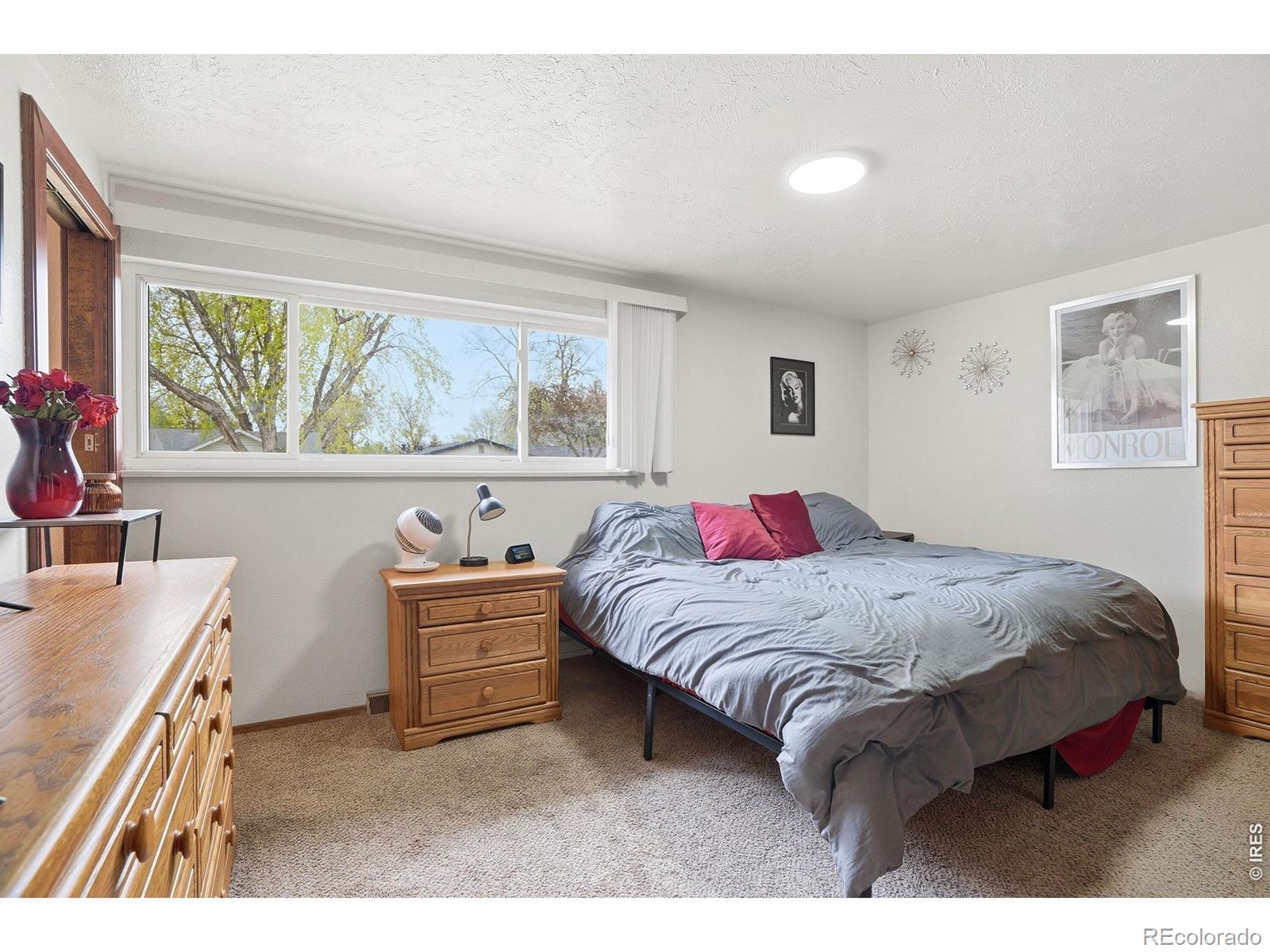 1119 Bross Street Longmont CO 80501