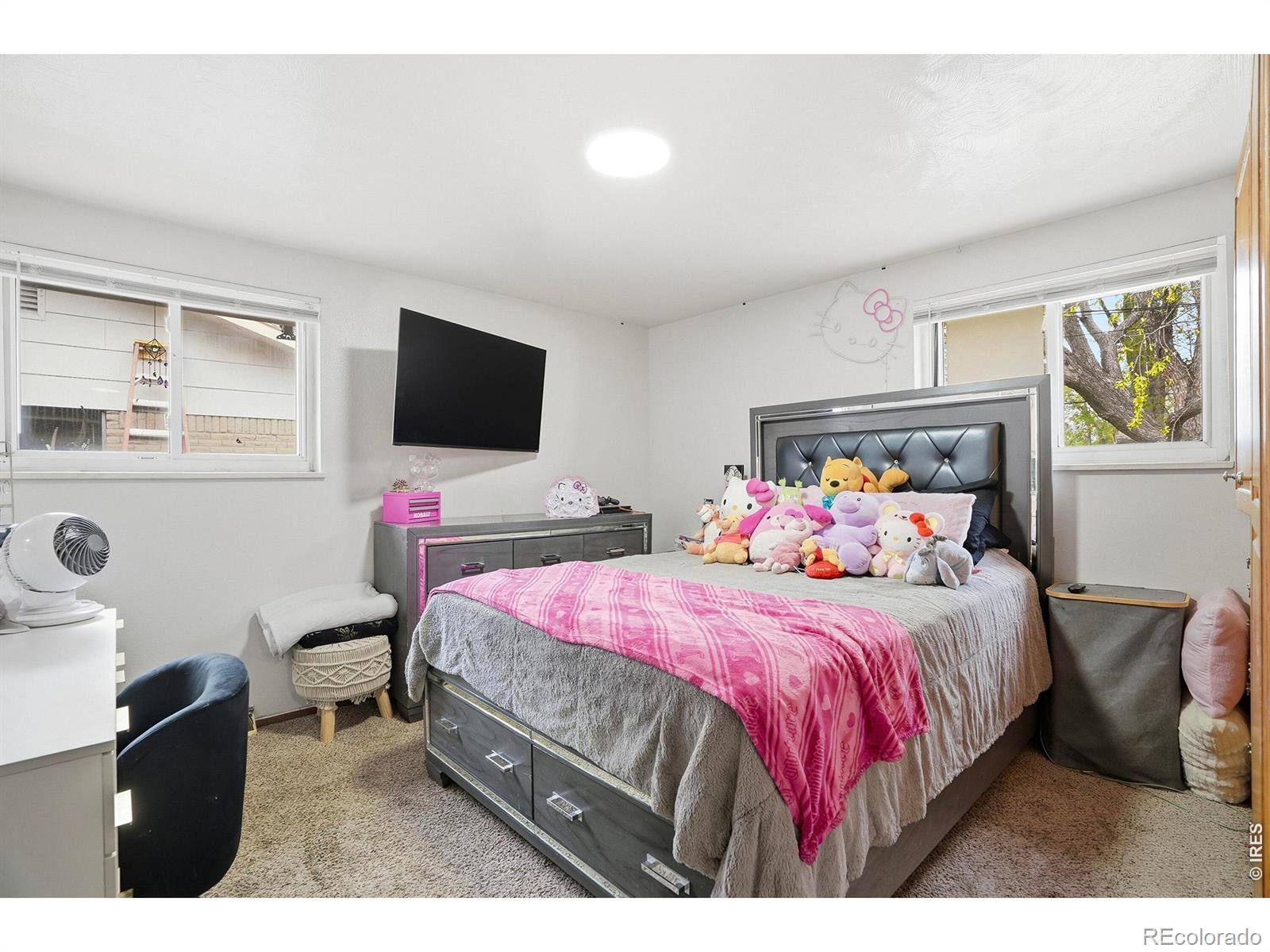 1119 Bross Street Longmont CO 80501