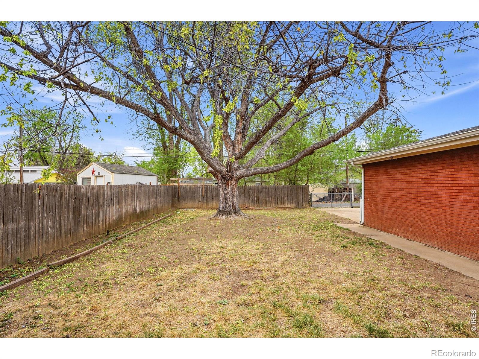 1119 Bross Street Longmont CO 80501