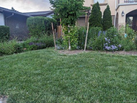 3602 S Spruce Street Denver CO 80237