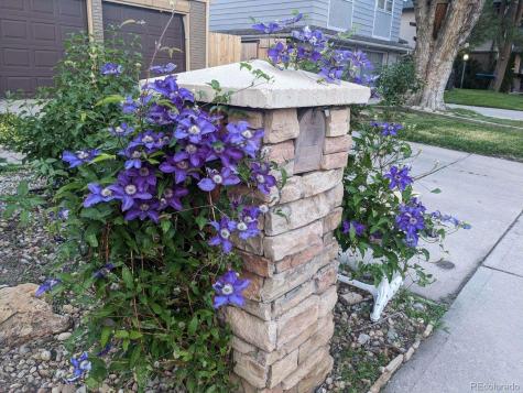 3602 S Spruce Street Denver CO 80237