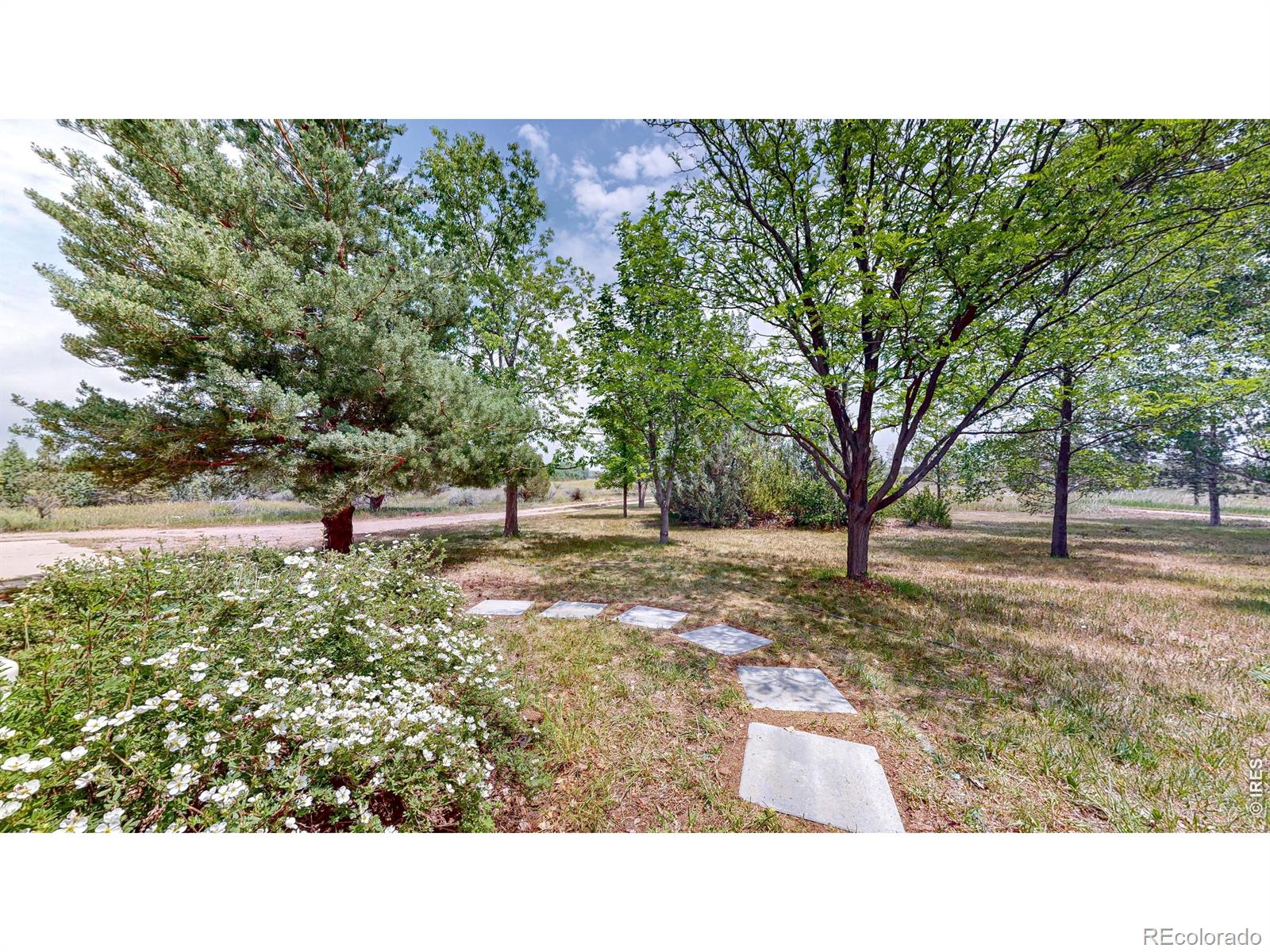6485 N County Road 19 Fort Collins CO 80524