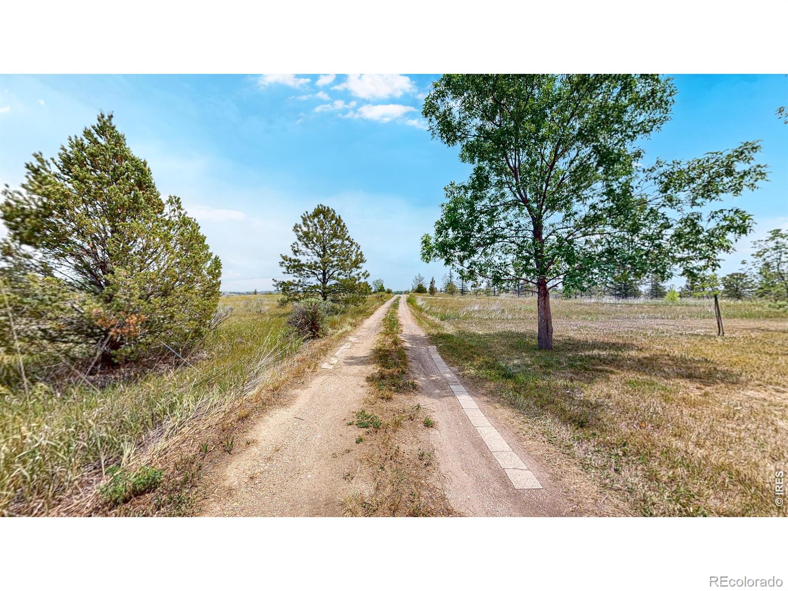 6485 N County Road 19 Fort Collins CO 80524