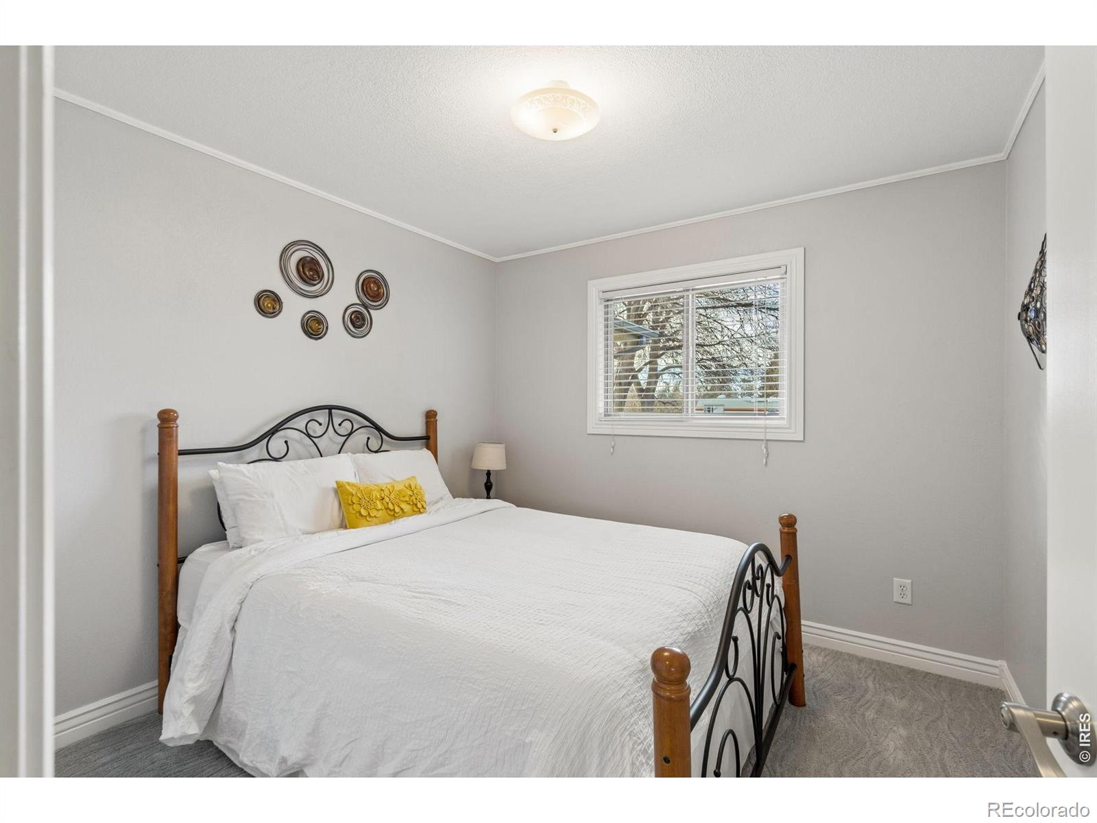3000 Marion Street Fort Collins CO 80521