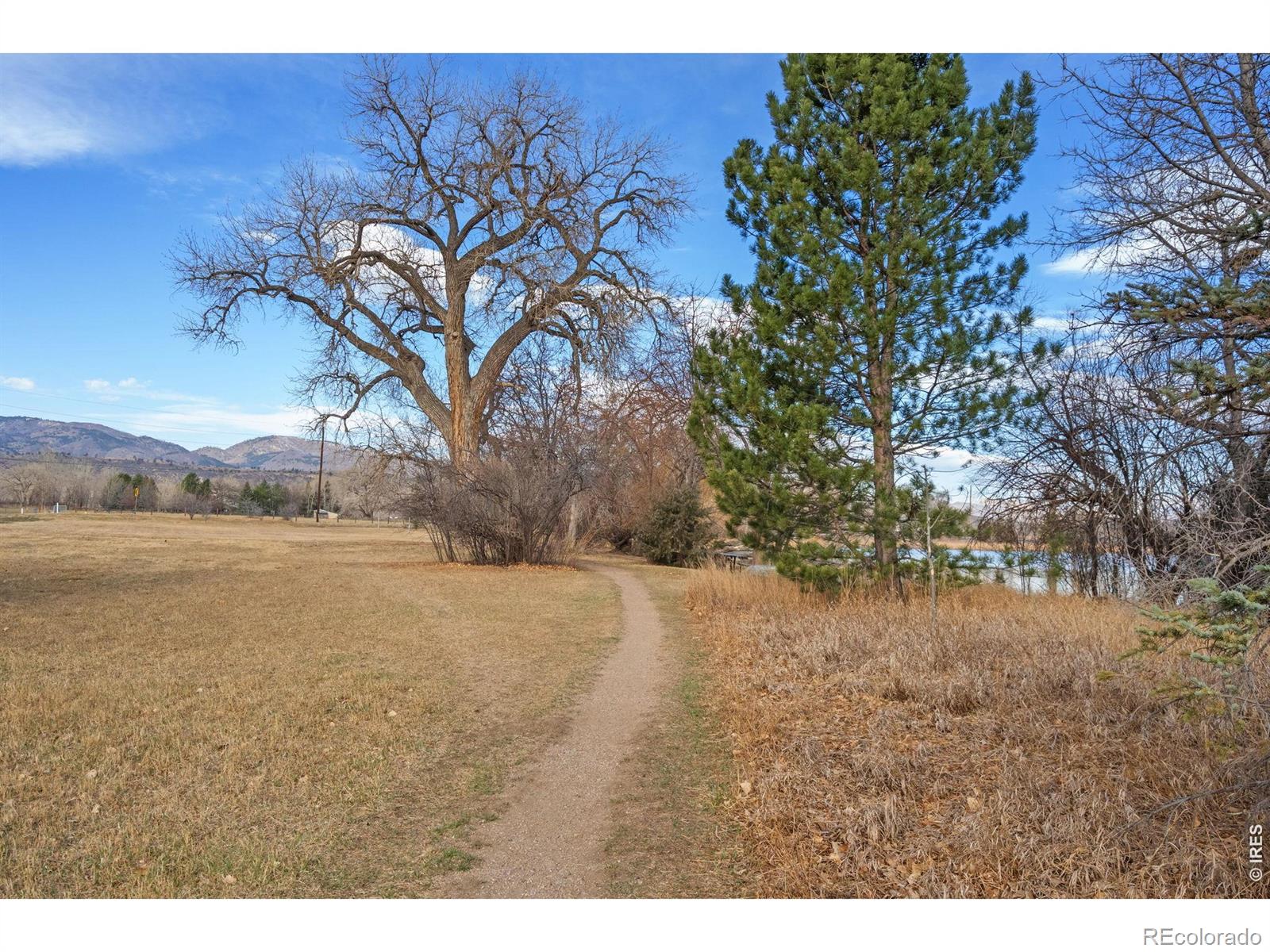 3000 Marion Street Fort Collins CO 80521