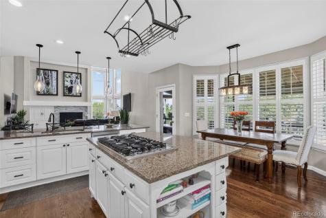4 Red Tail Drive Highlands Ranch CO 80126