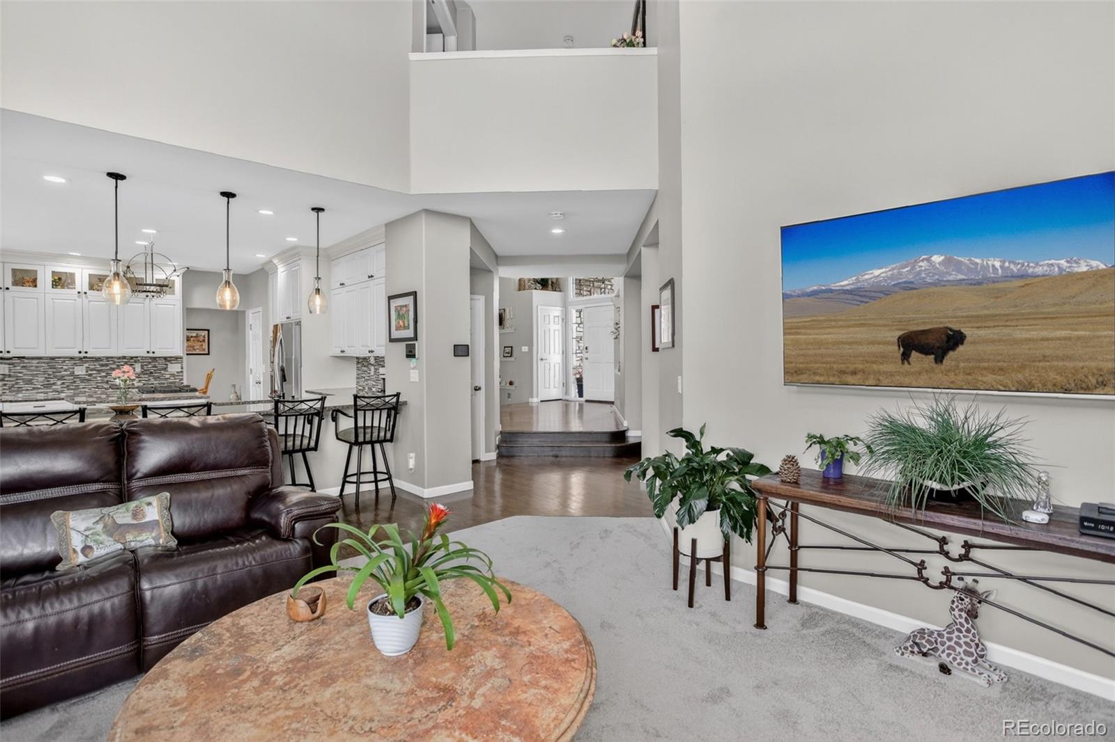 4 Red Tail Drive Highlands Ranch CO 80126