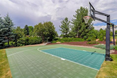 4 Red Tail Drive Highlands Ranch CO 80126