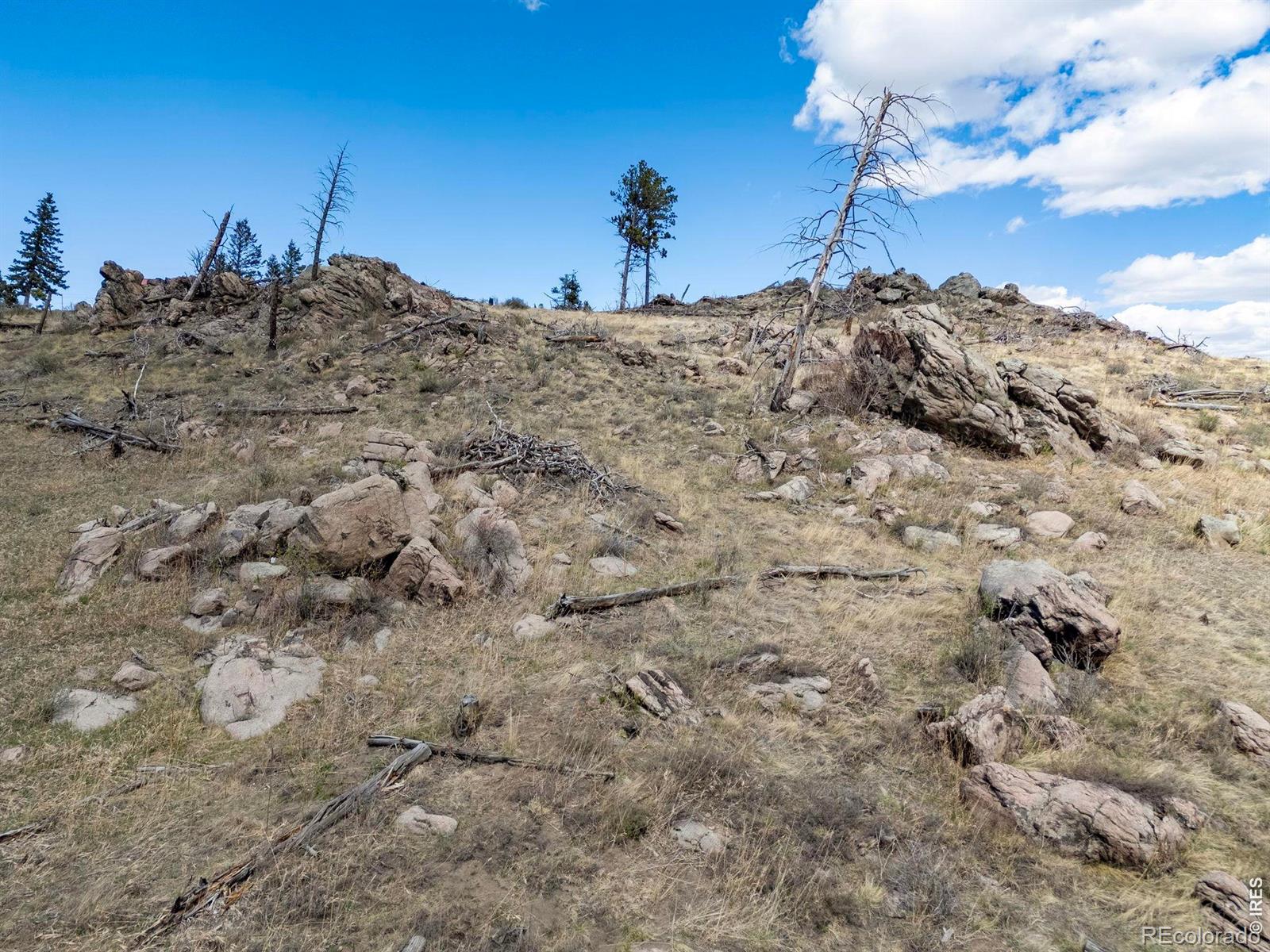 3069 Davis Ranch Road Bellvue CO 80512
