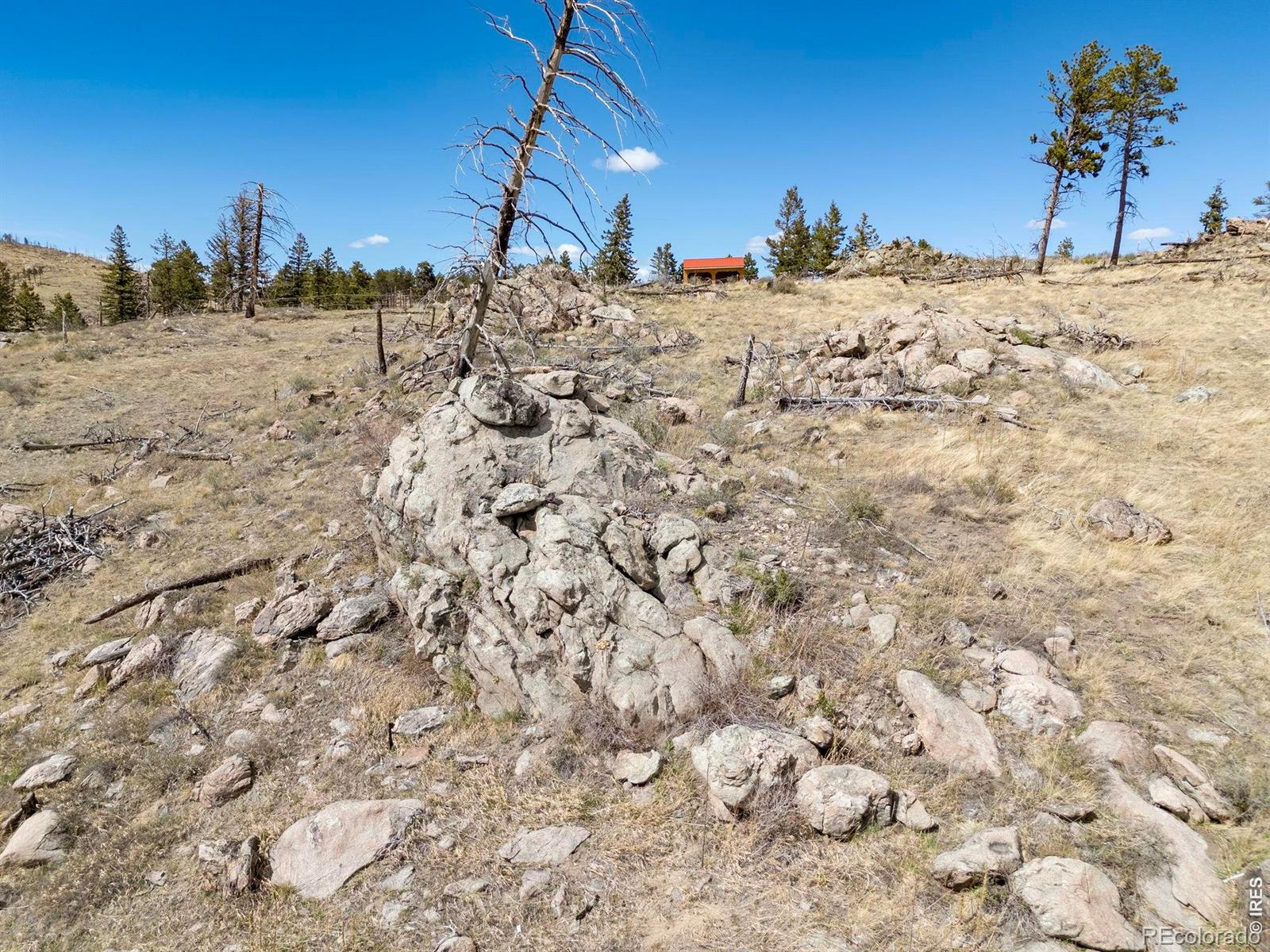 3069 Davis Ranch Road Bellvue CO 80512