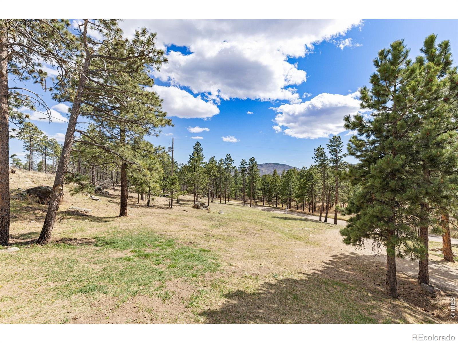 3069 Davis Ranch Road Bellvue CO 80512