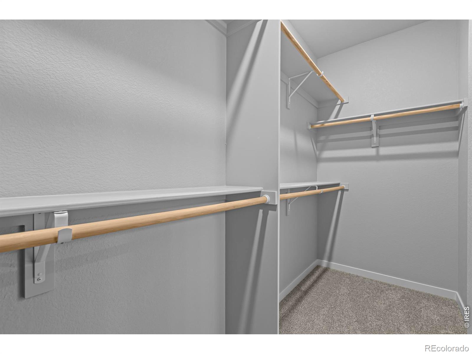 2769 Blue Iris Drive Loveland CO 80538
