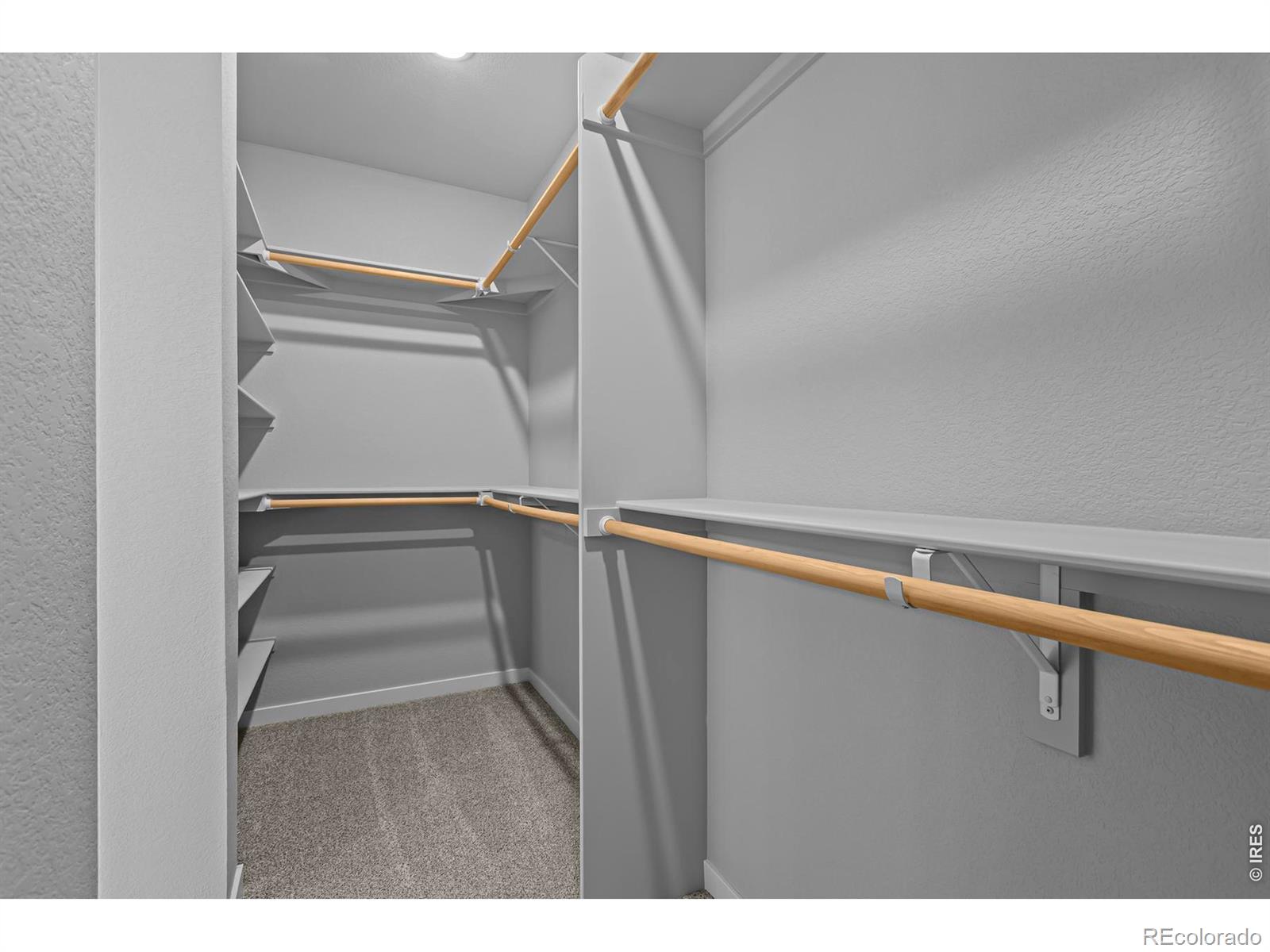 2769 Blue Iris Drive Loveland CO 80538