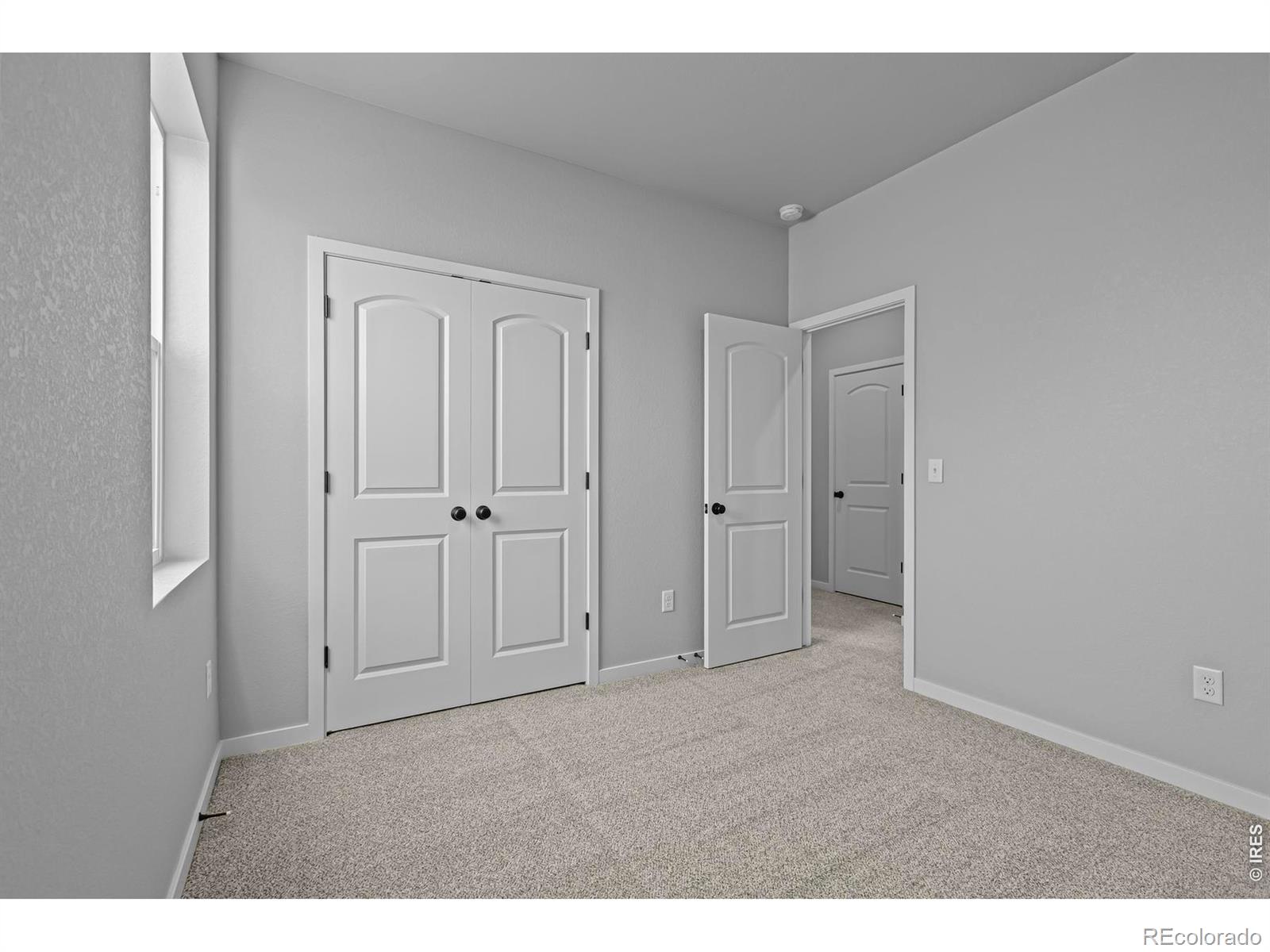 2769 Blue Iris Drive Loveland CO 80538