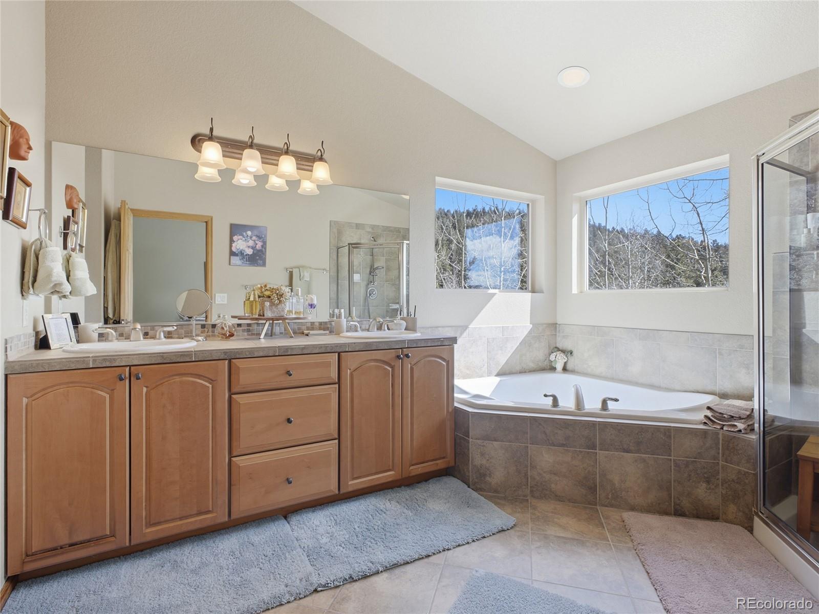 11593 Braun Way Conifer CO 80433