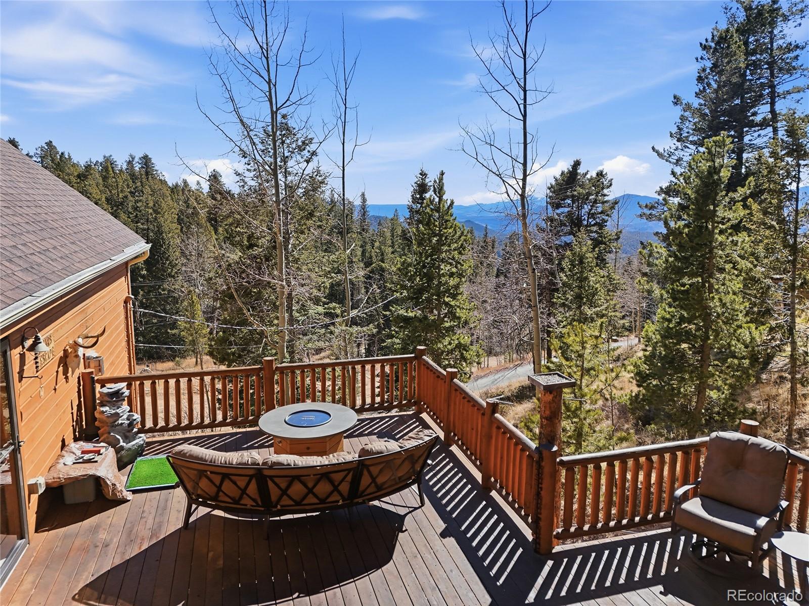 11593 Braun Way Conifer CO 80433