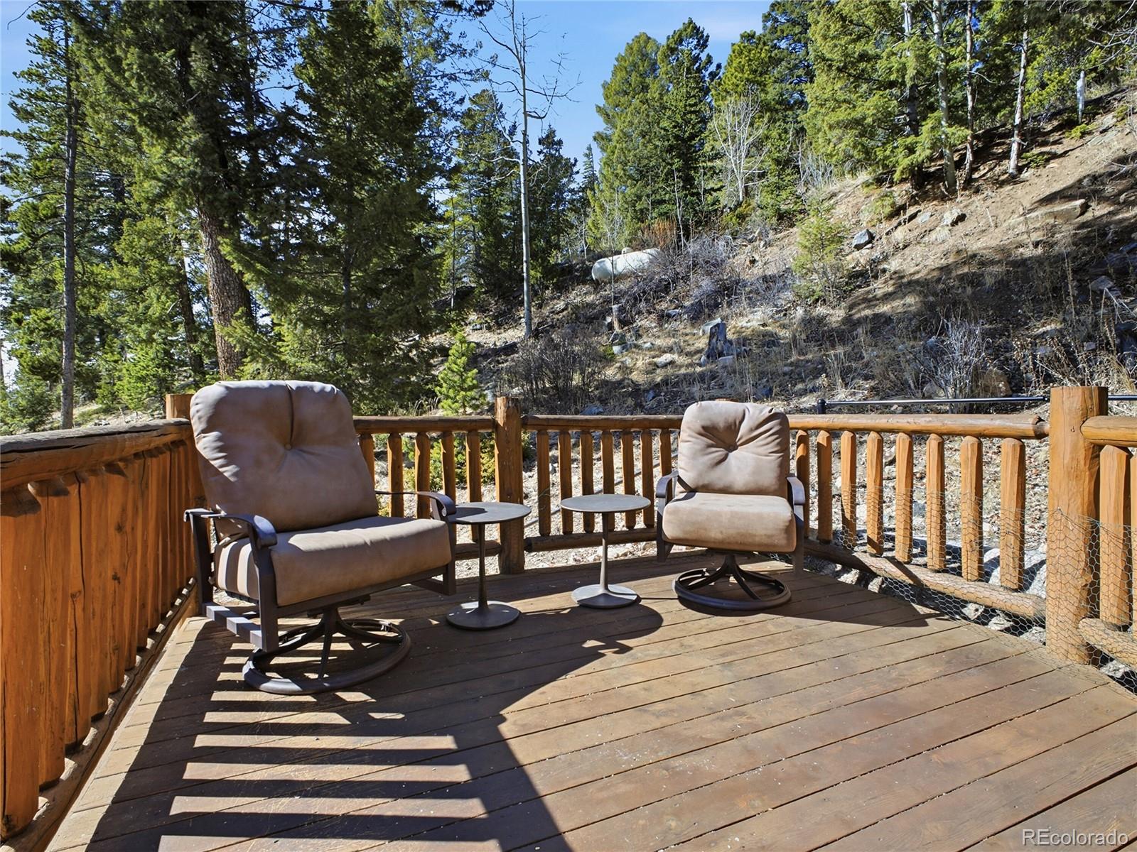 11593 Braun Way Conifer CO 80433