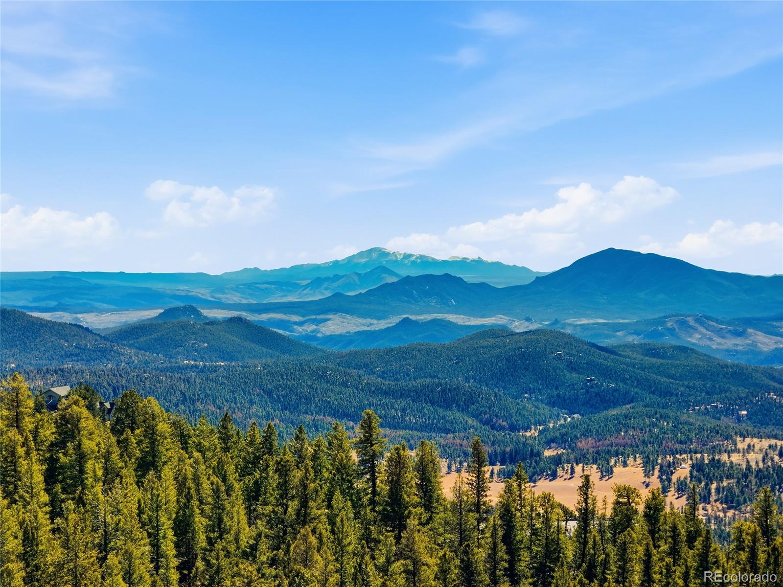 11593 Braun Way Conifer CO 80433