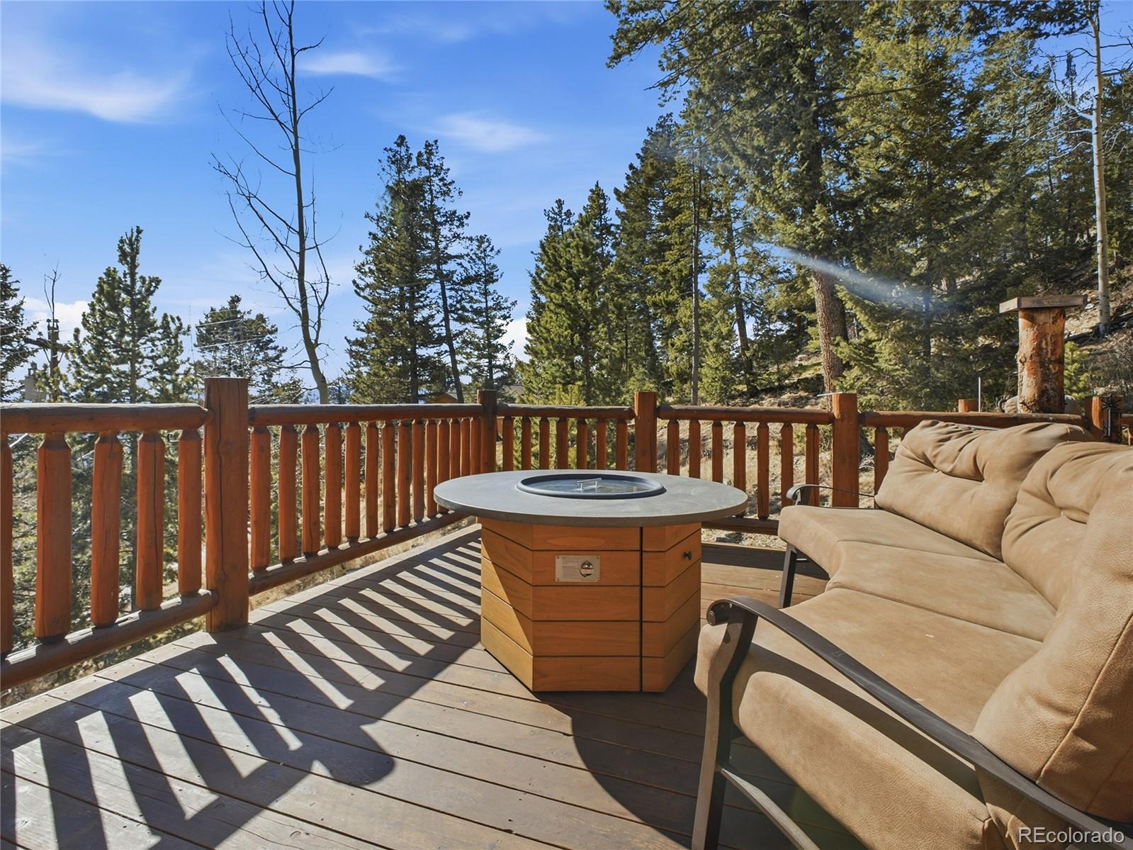 11593 Braun Way Conifer CO 80433