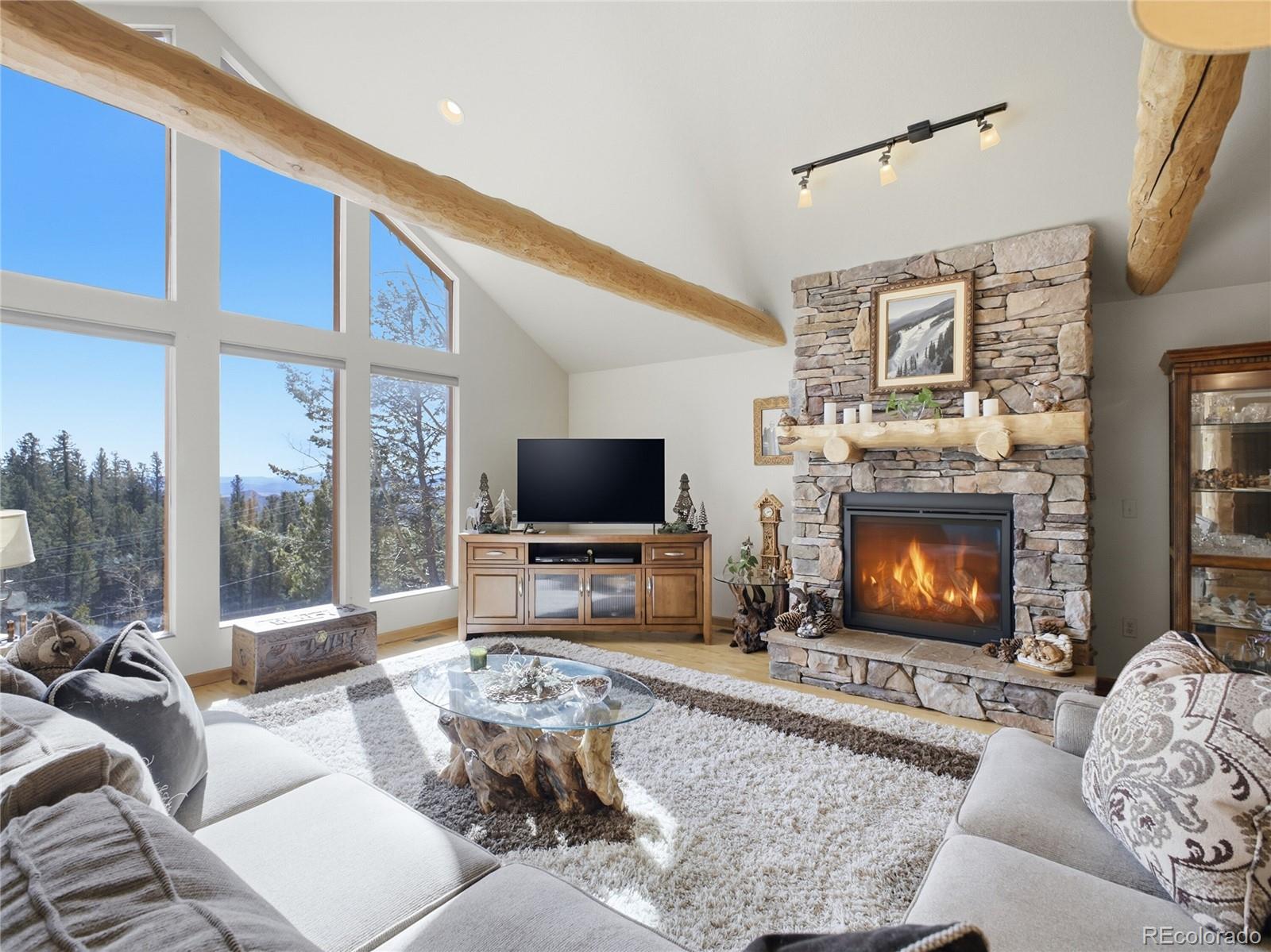 11593 Braun Way Conifer CO 80433