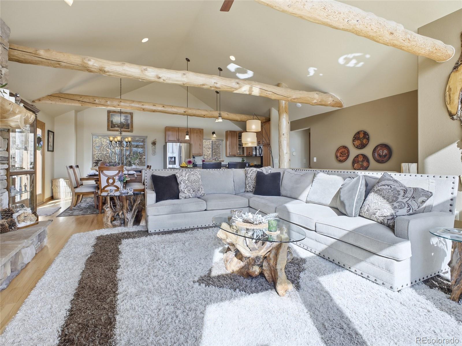 11593 Braun Way Conifer CO 80433