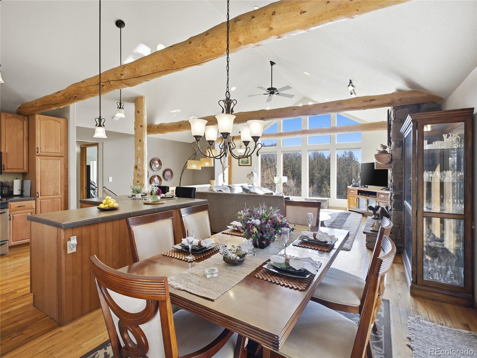 11593 Braun Way Conifer CO 80433