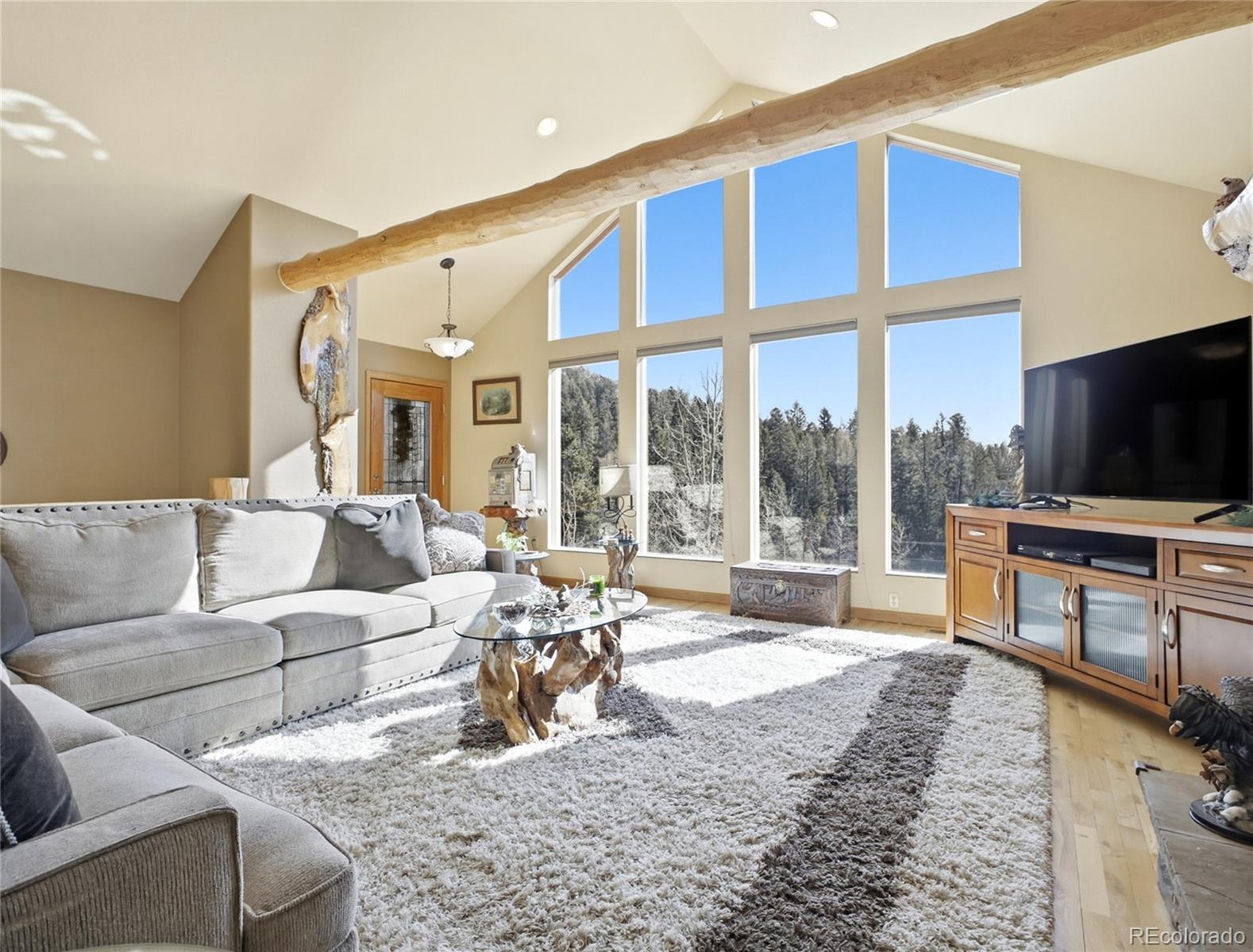 11593 Braun Way Conifer CO 80433