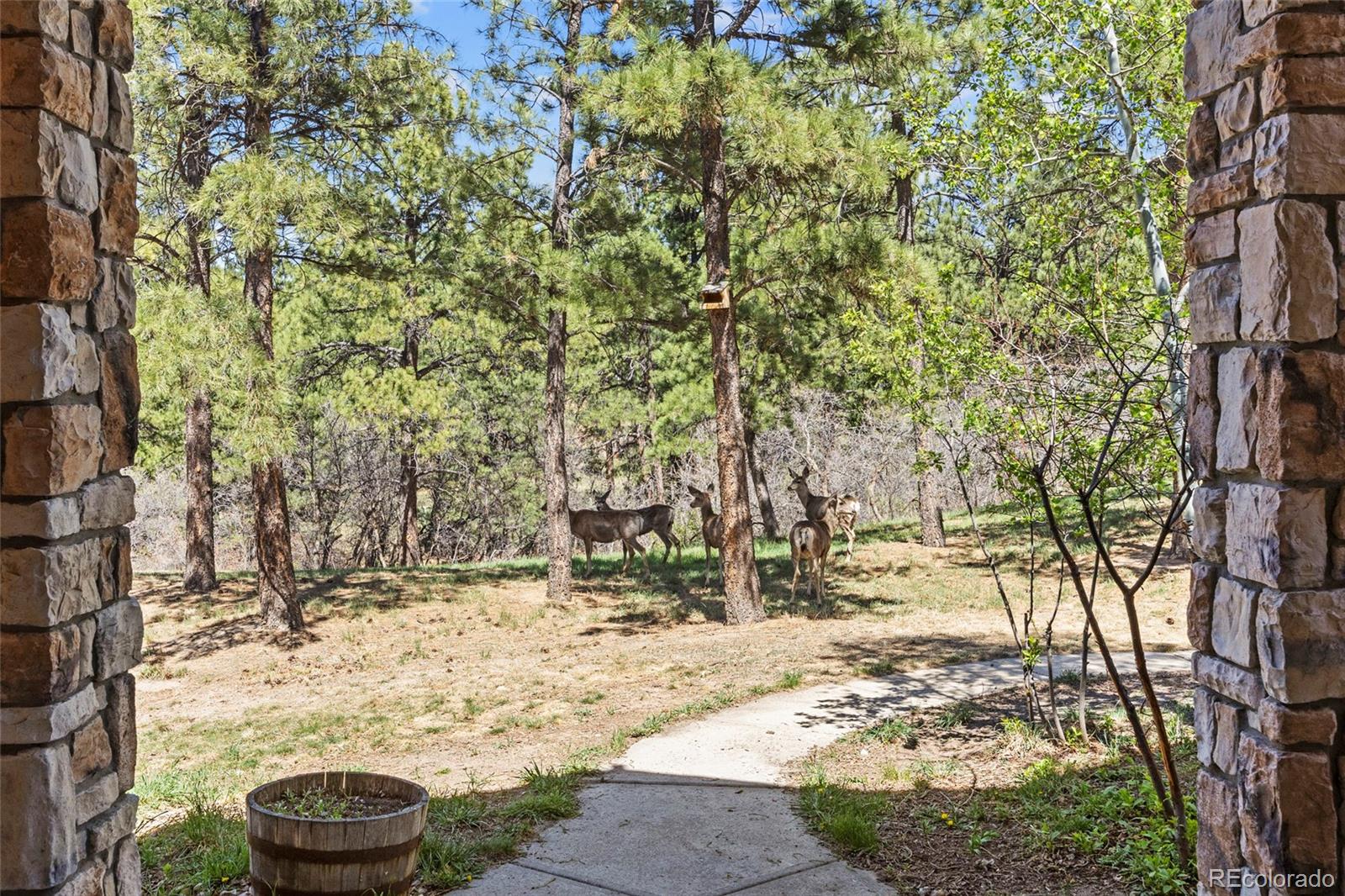 9676 S Perry Park Road Larkspur CO 80118