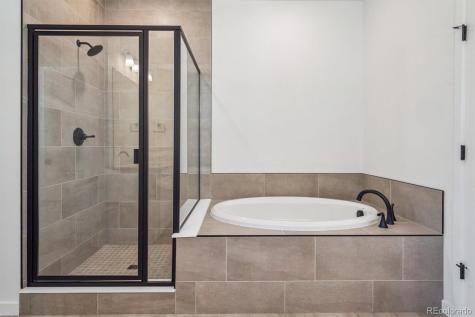 9227 Gold Lace Place Highlands Ranch CO 80129