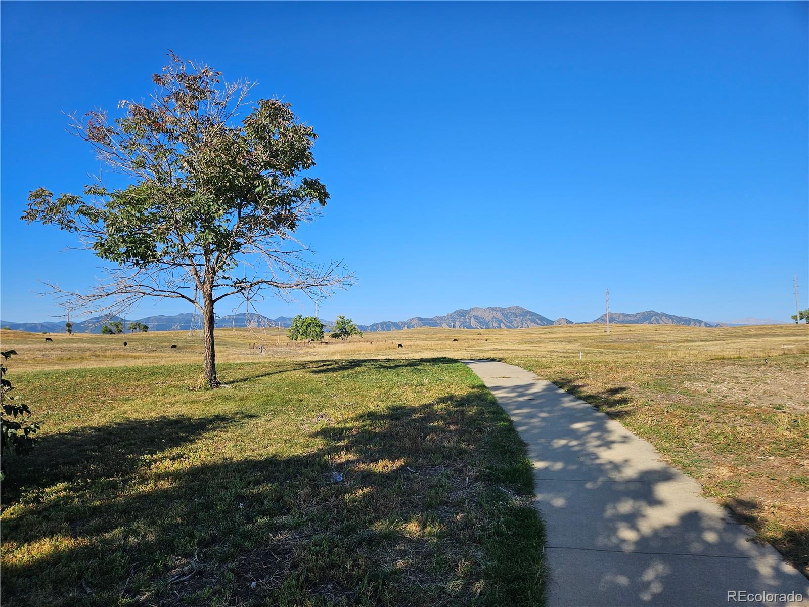 443 Blackfoot Street Superior CO 80027