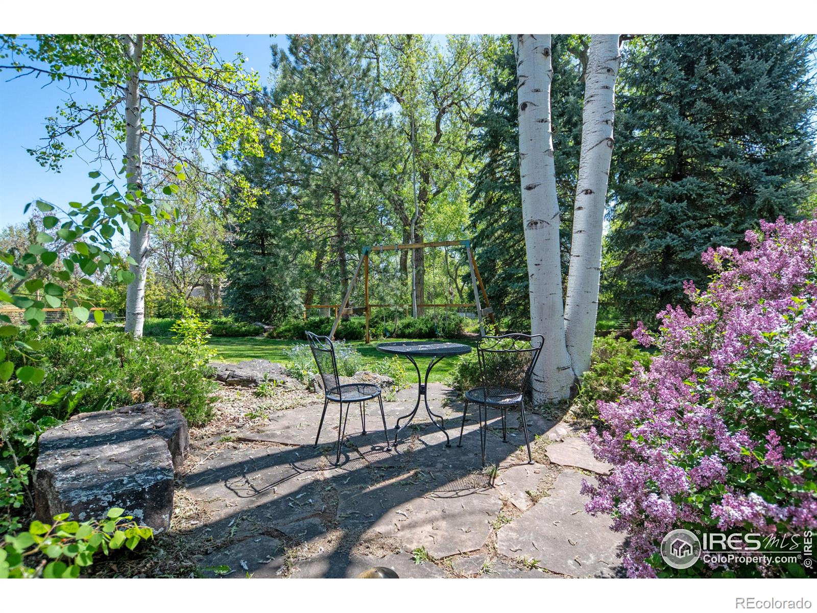 3708 Manzanita Drive Loveland CO 80537