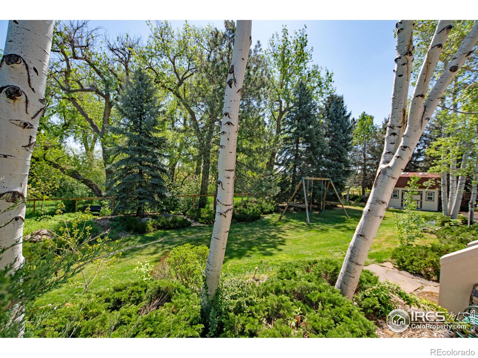 3708 Manzanita Drive Loveland CO 80537