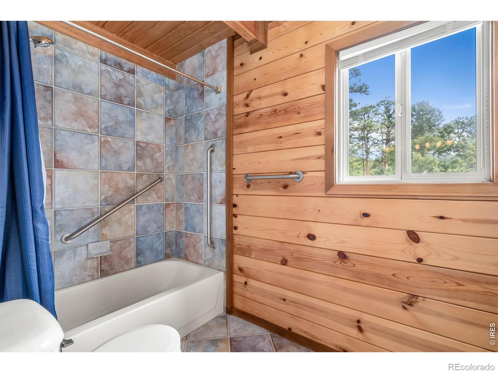 783 Chimney Rock Drive Livermore CO 80536