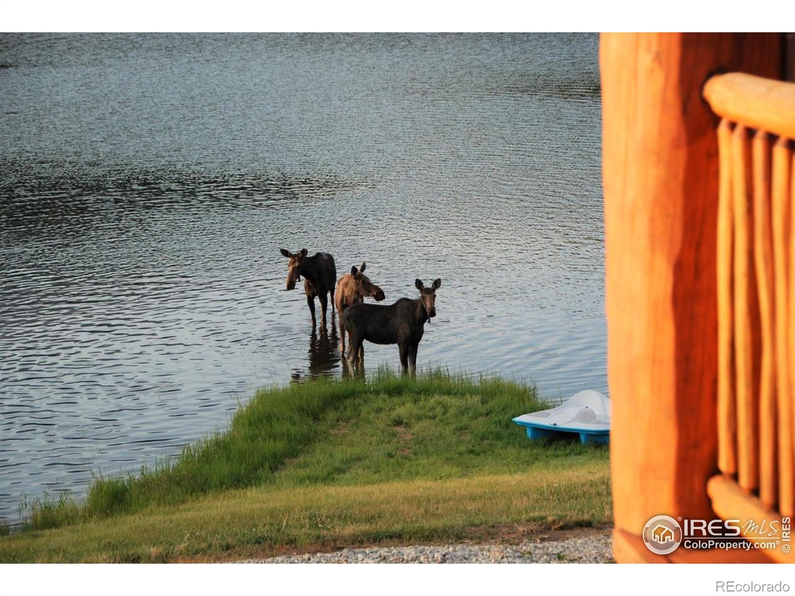 8705 County Road 224 Salida CO 81201