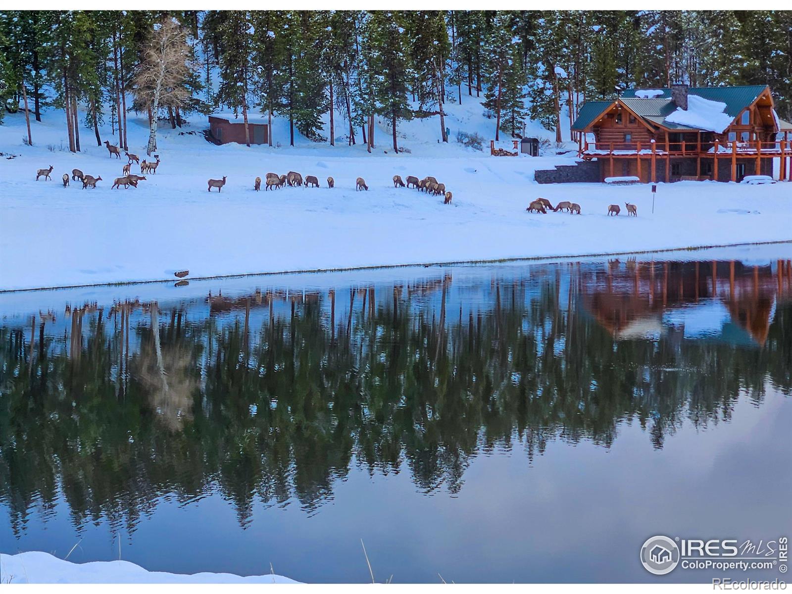 8705 County Road 224 Salida CO 81201