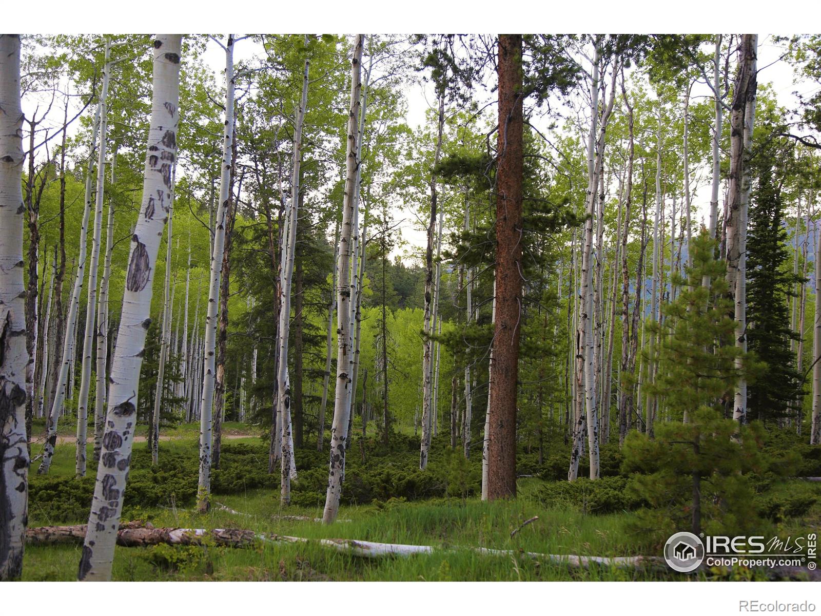 8705 County Road 224 Salida CO 81201