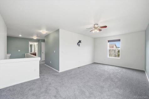 2173 Cactus Bloom Court Castle Rock CO 80109