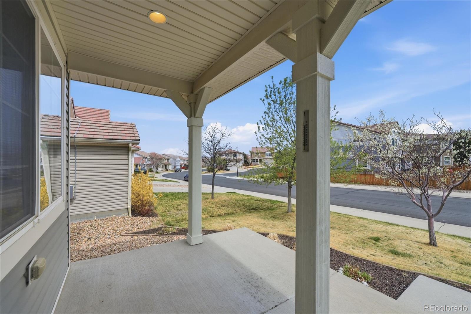 2173 Cactus Bloom Court Castle Rock CO 80109