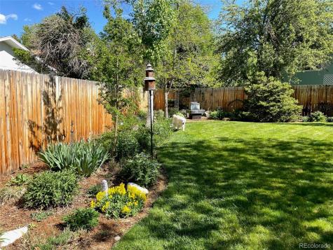 6705 Youngfield Court Arvada CO 80004
