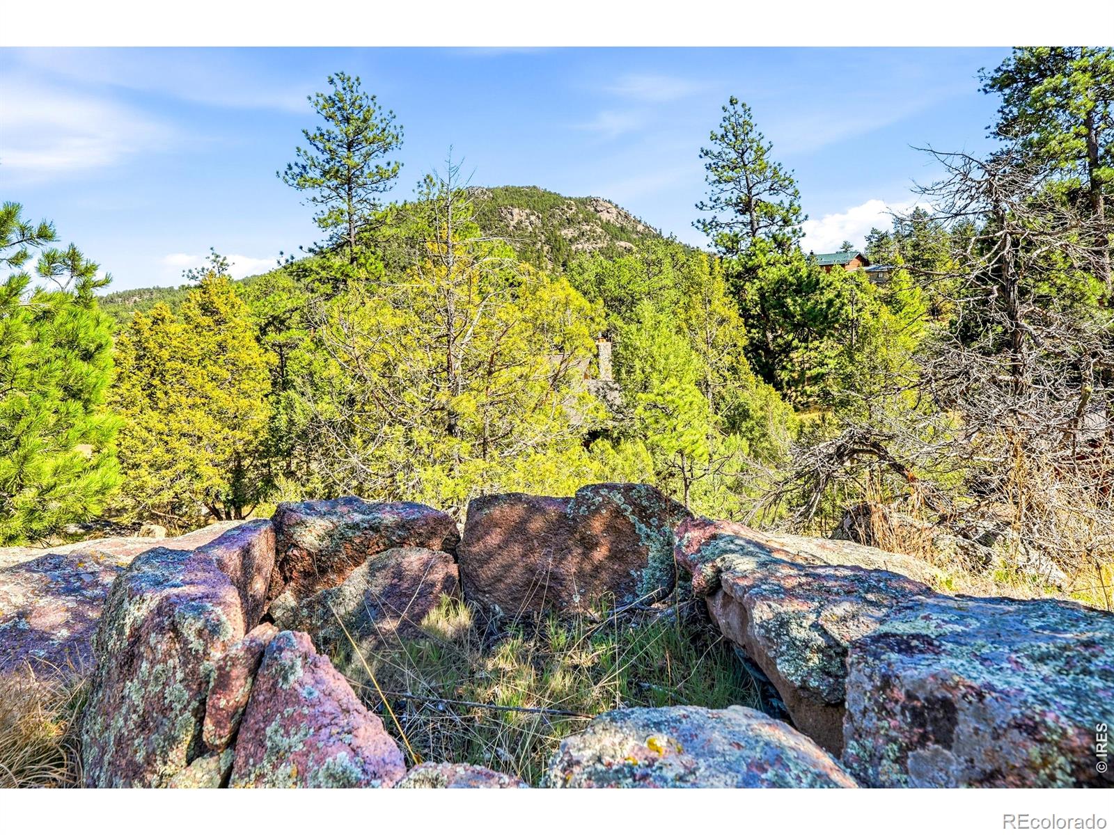 5 Mohawk Road Lyons CO 80540